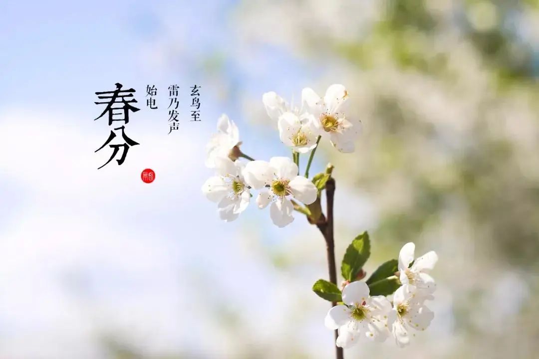 7c7c1048a6a5bb81c0202e4a00261fa6_640_wx_fmt=jpeg&wxfrom=5&wx_lazy=1&wx_co=1.jpg